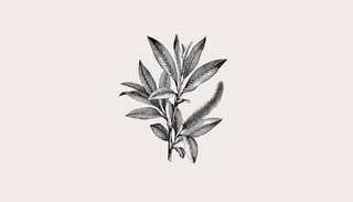 SCENTED LIVING
