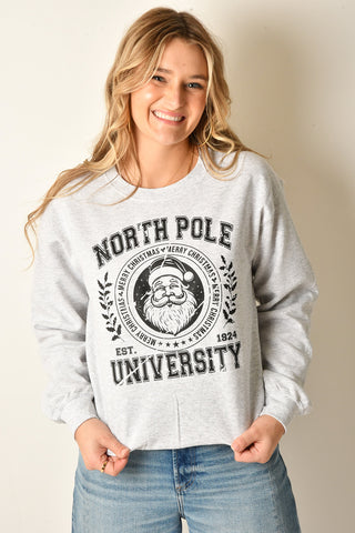 NORTH POLE UNIVERSITY