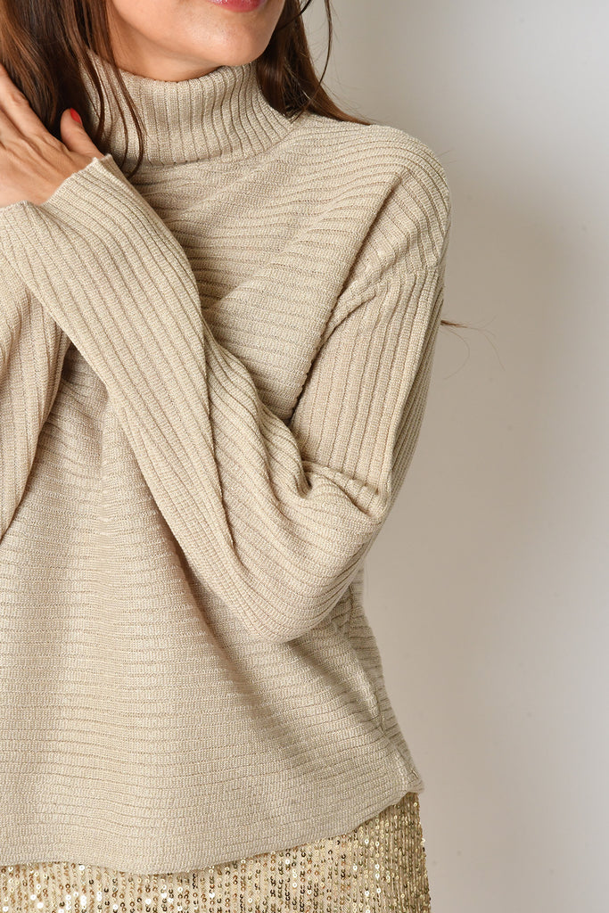 TURTLENECK SHIMMER TOP